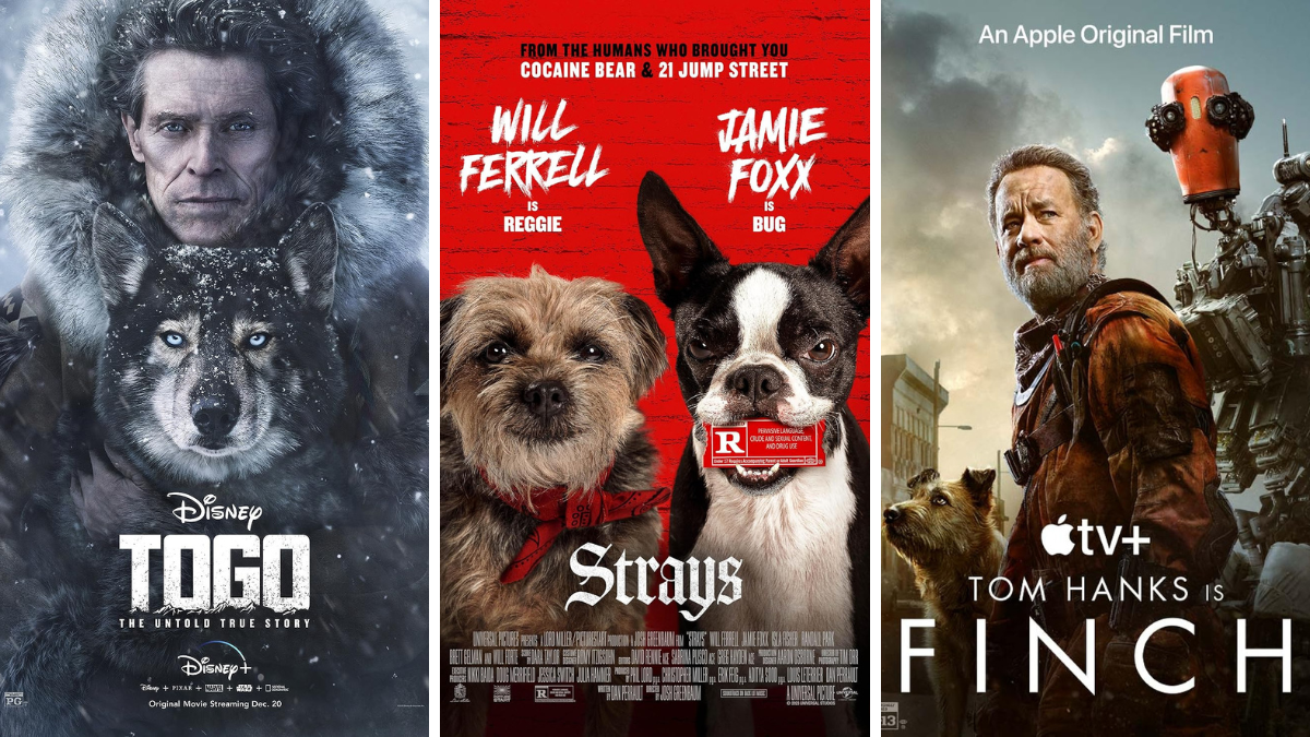 أفلام عن الكلاب - أراجيك فن 2023