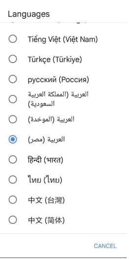 إضافة اللغة العربية إلى مساعد جوجل الصوتي
