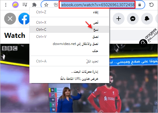 خطوات تحميل فيديو من Facebook عن طريق موقع DownVideo.net