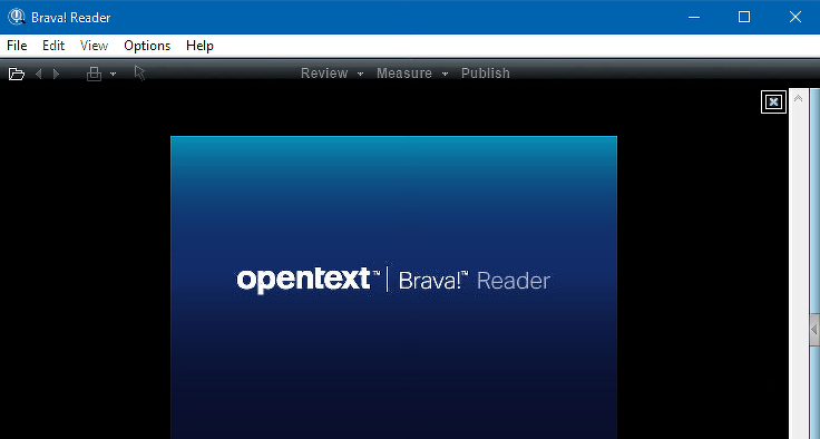 برنامج Brava Reader, ويندوز