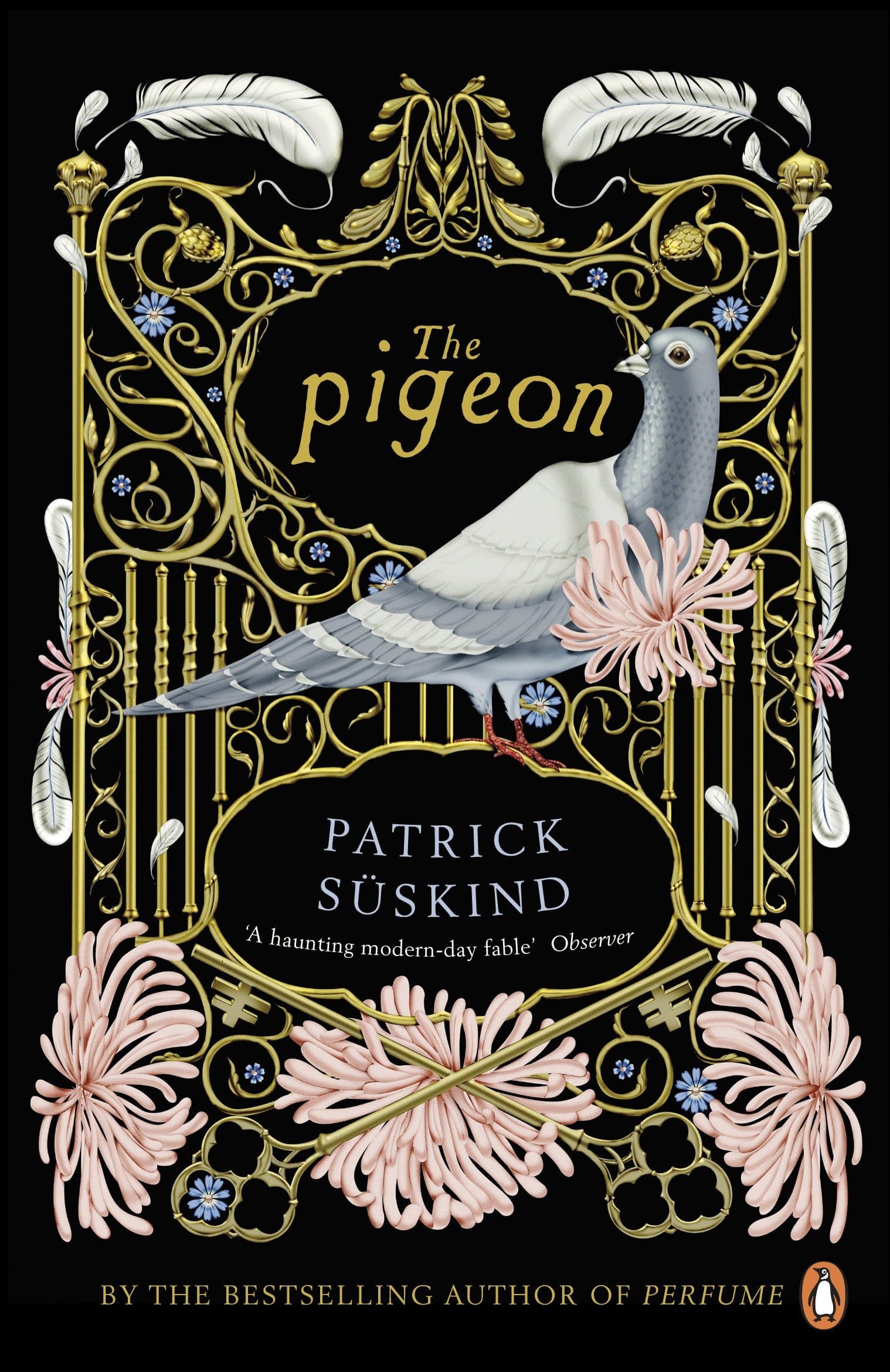 pigeon