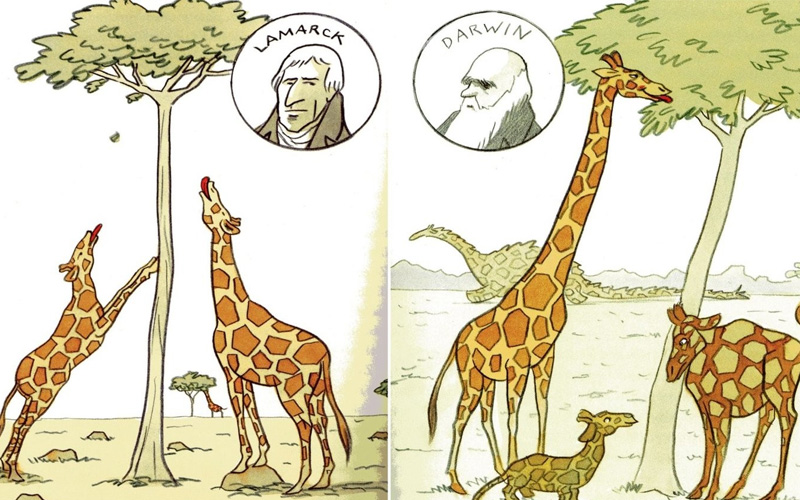 لامارك وداروين
