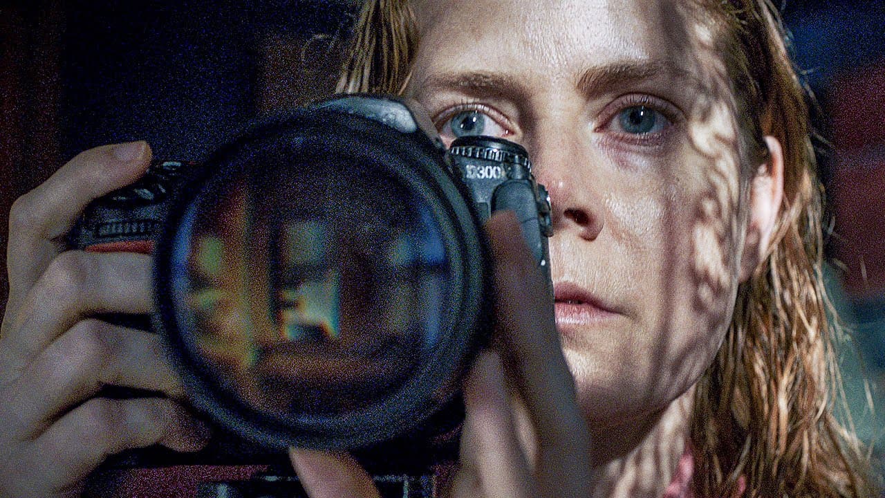 فيلم The Woman in The Window