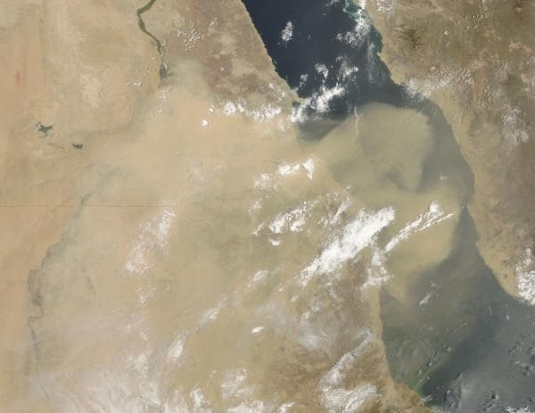المناطق الأكثر جفافًا - وادي حلفا