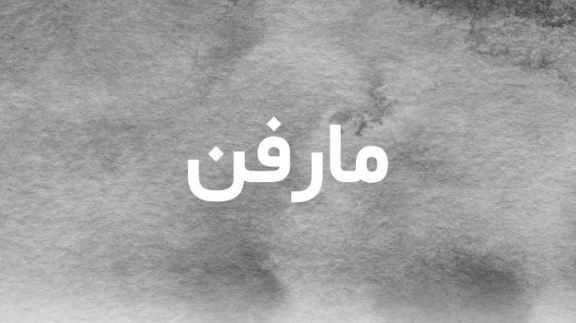 ما معنى اسم مارفن؟