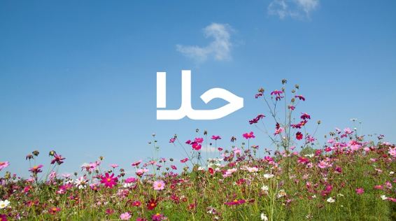 ما معنى اسم حلا في الاسلام وصفات حامل الاسم وشخصيتها؟