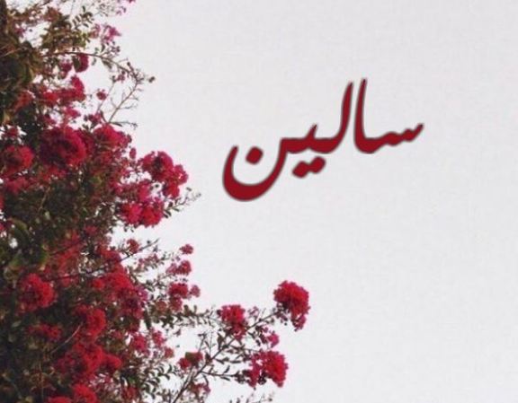 ما معنى اسم سالين؟