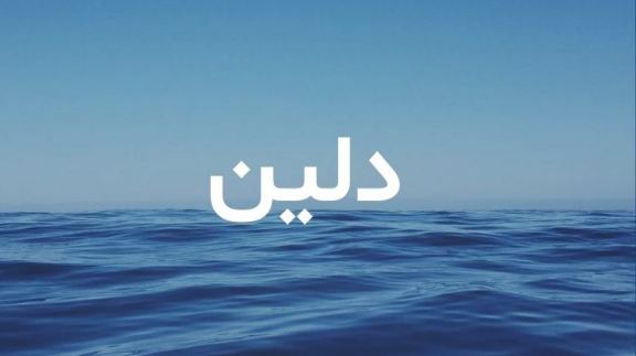 ما معنى اسم دلين؟