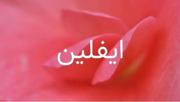 ما معنى اسم ايفلين؟