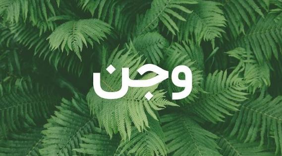 ما معنى اسم وجن؟