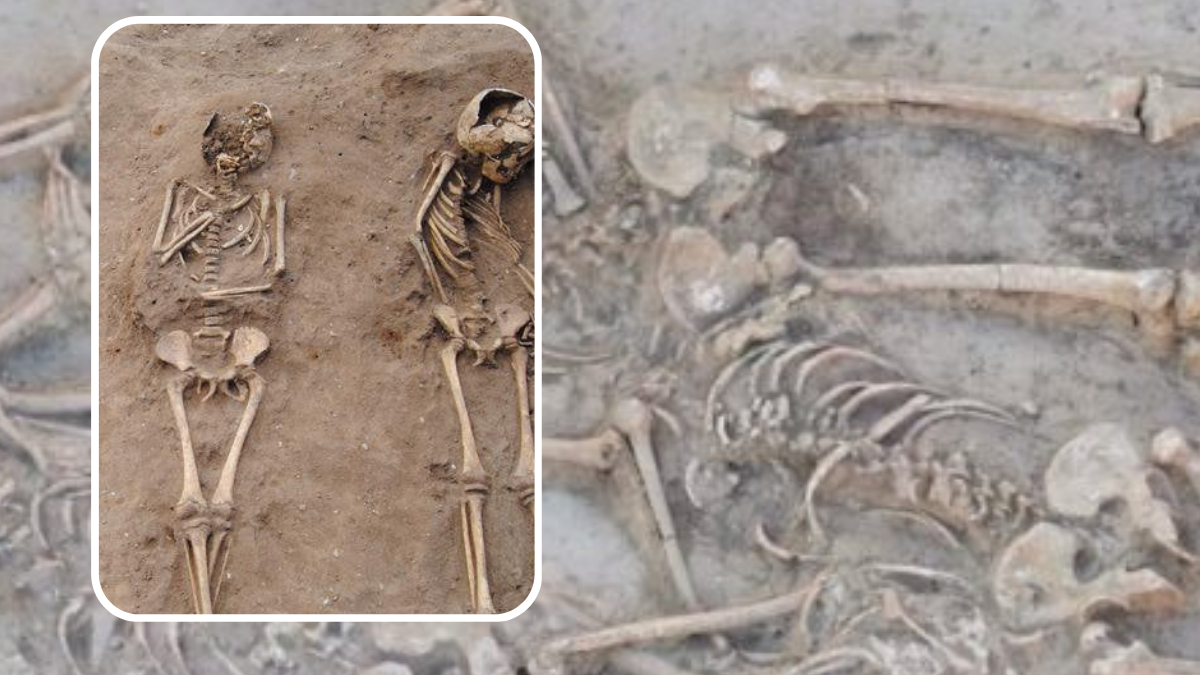 اكتشاف مقبرة جماعية عمرها 7 آلاف عام لعشرات الهياكل العظمية المدفونة