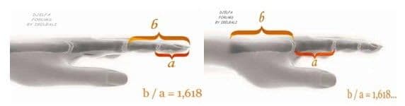 النسبة الذهبية