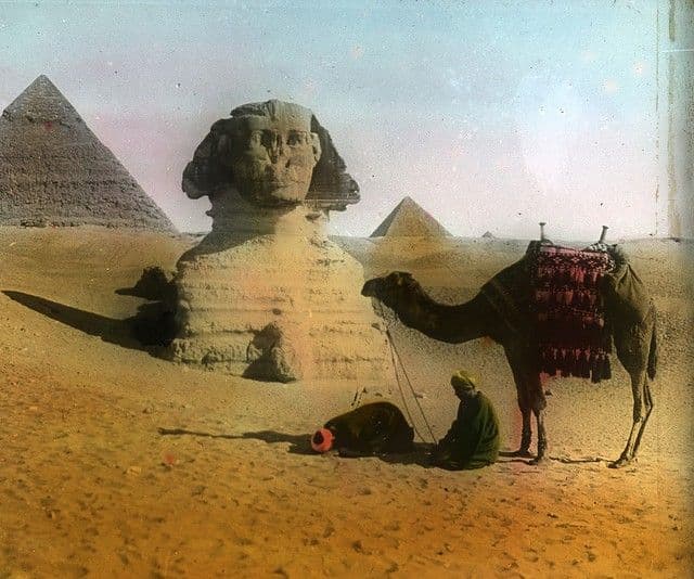 مصر