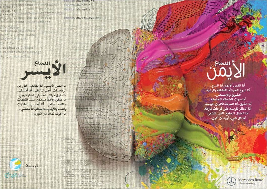 Brain_ar