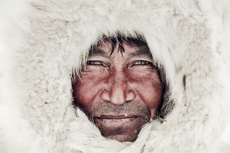 nenet-8