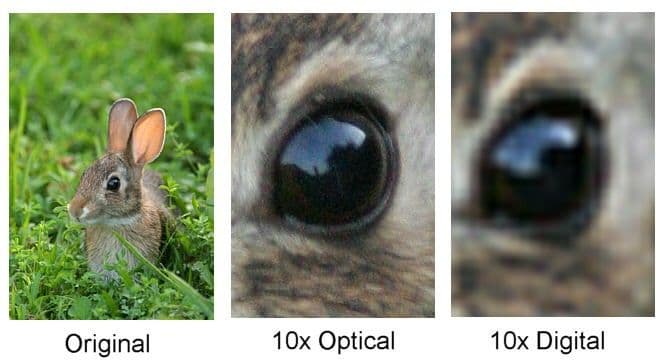 digital_zoom_vs_optical_zoom