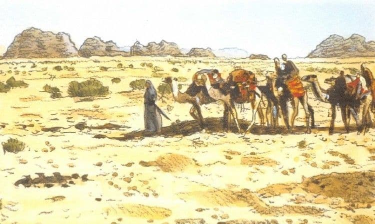 قوافل