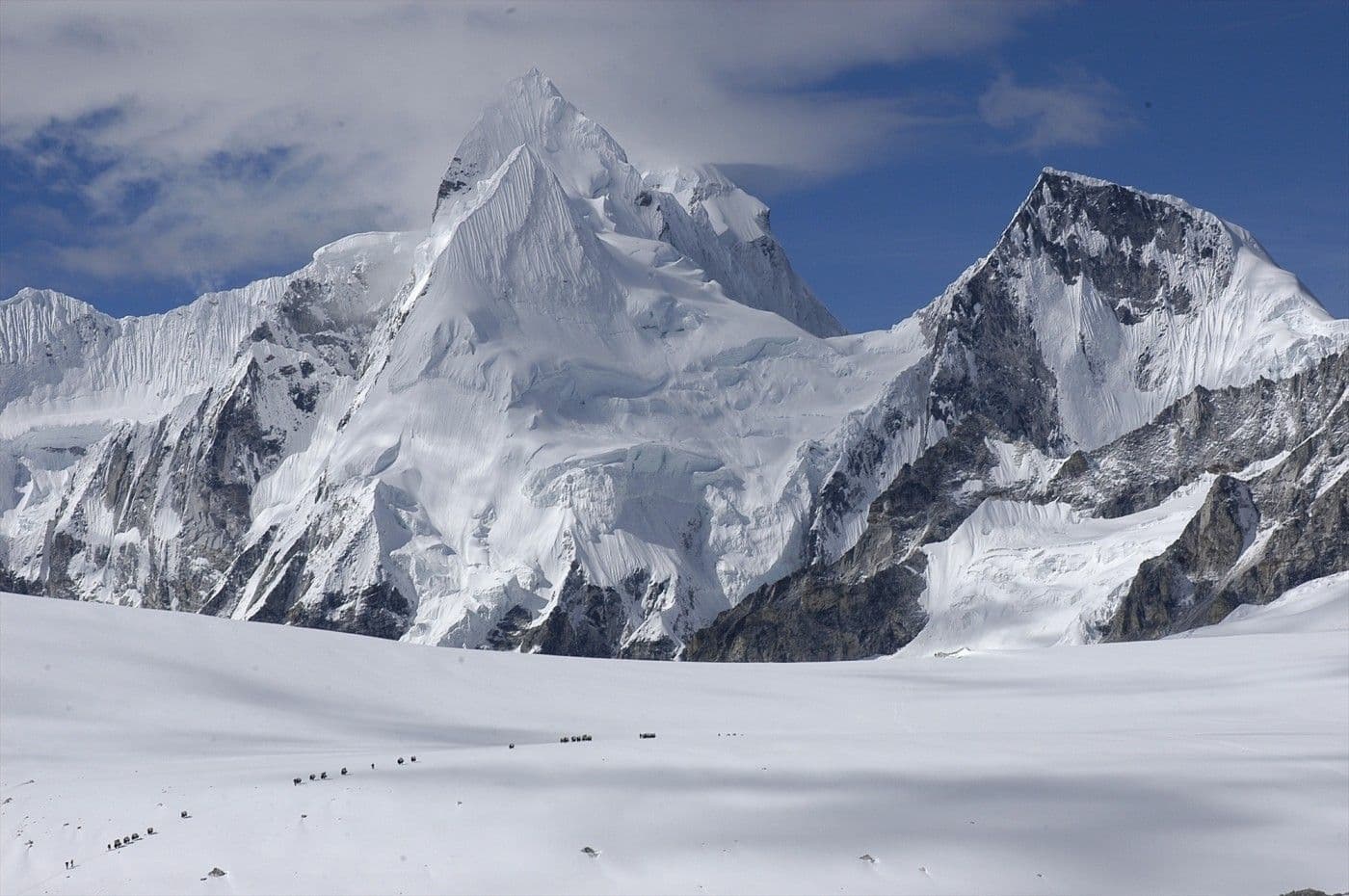  Cho oyu