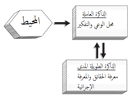 الذاكرة