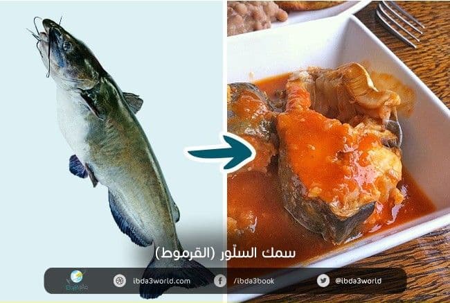 سمك السلور