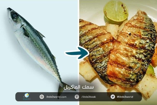 سمك الماكريل