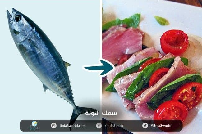 سمك التونة