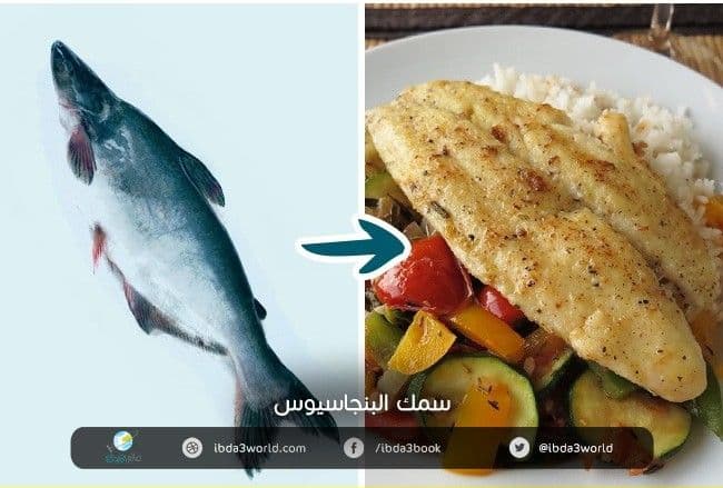 سمك البنجاسيوس