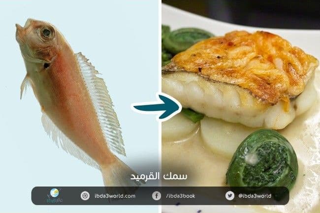 سمك القرميد