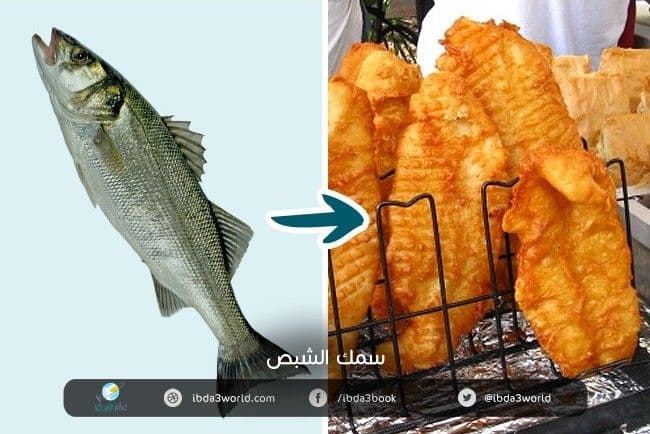 سمك الشبص