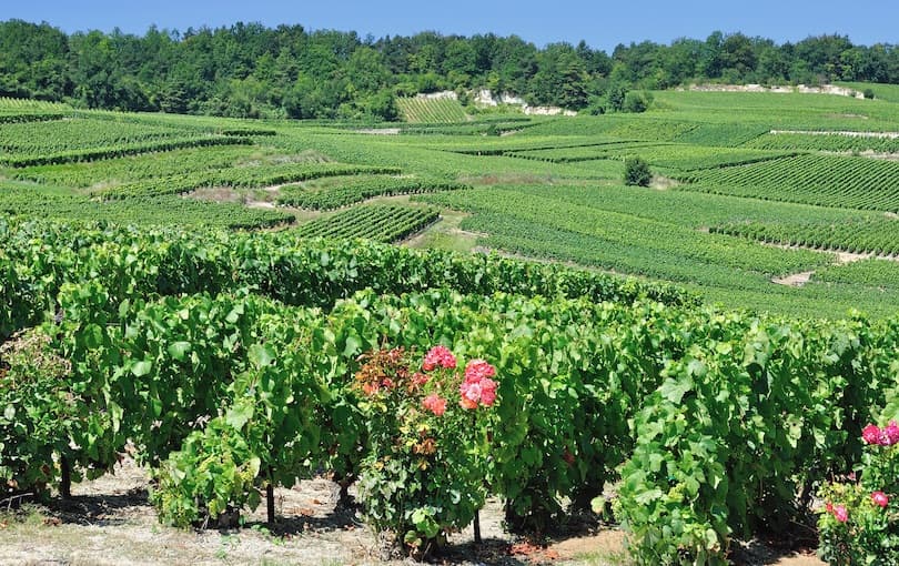 25 مكان عليك زيارتها في فرنسا