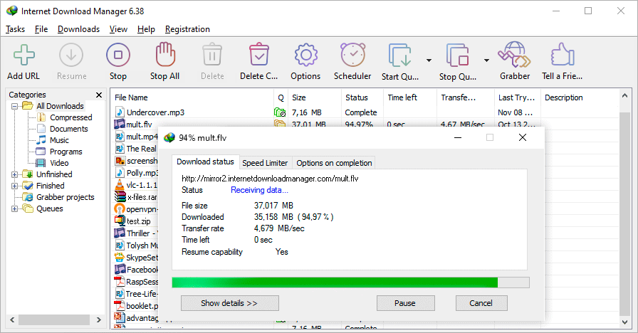 برنامج Internet Download Manager, ويندوز