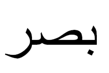 كيف تسير الدجاجة