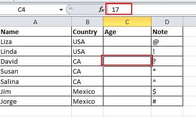 إخفاء بعض البيانات - Microsoft Excel