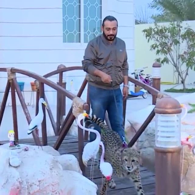 برامج رمضان 2016 - أبو المقالب