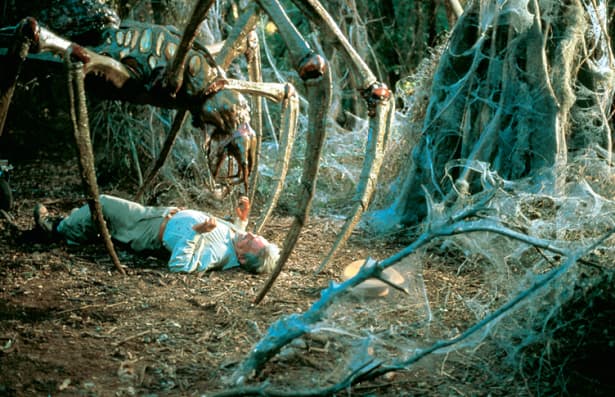 صورة فيلم Arachnid