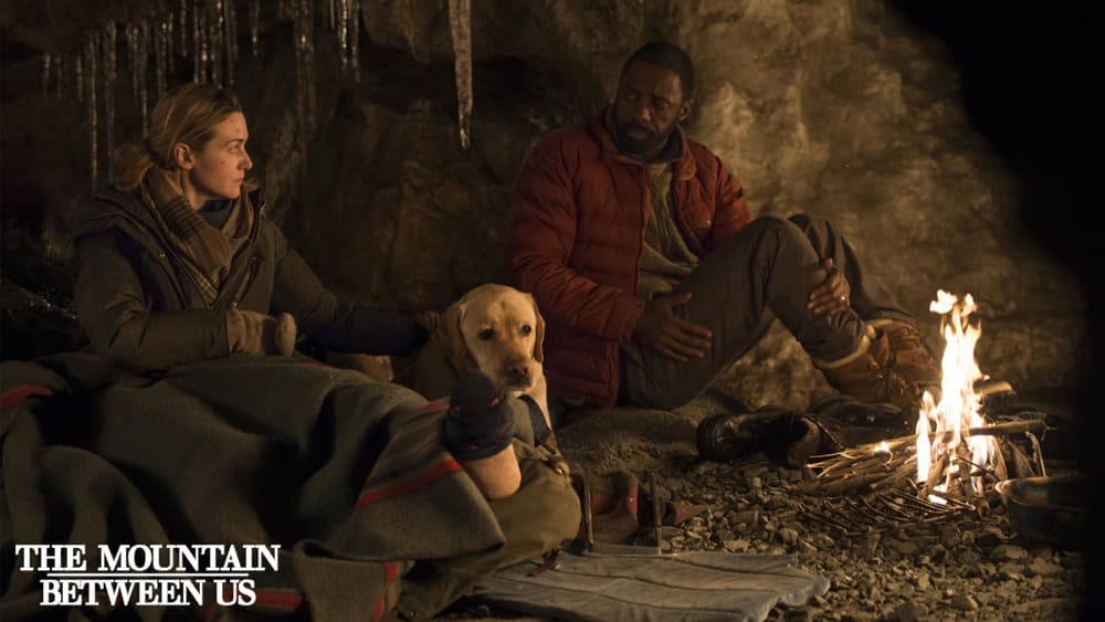 The Mountain Between Us