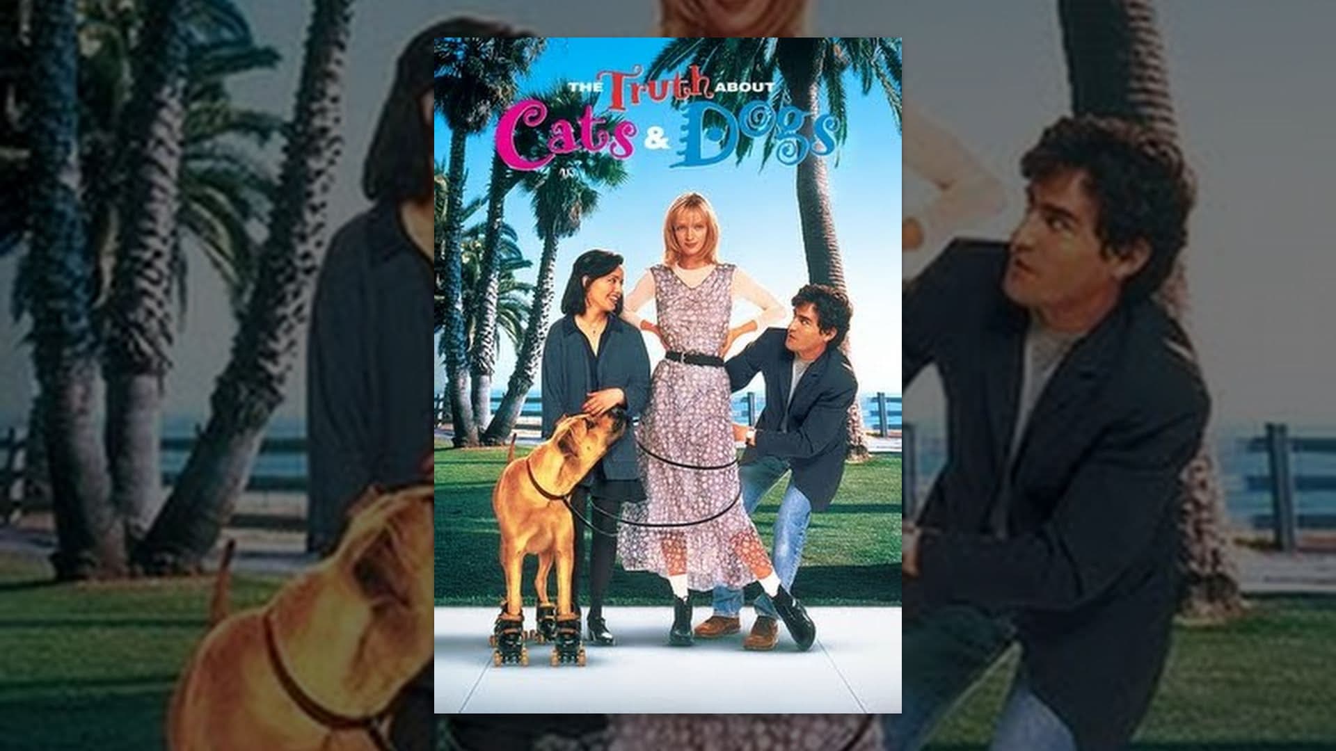 فيلم The truth about cats and dogs