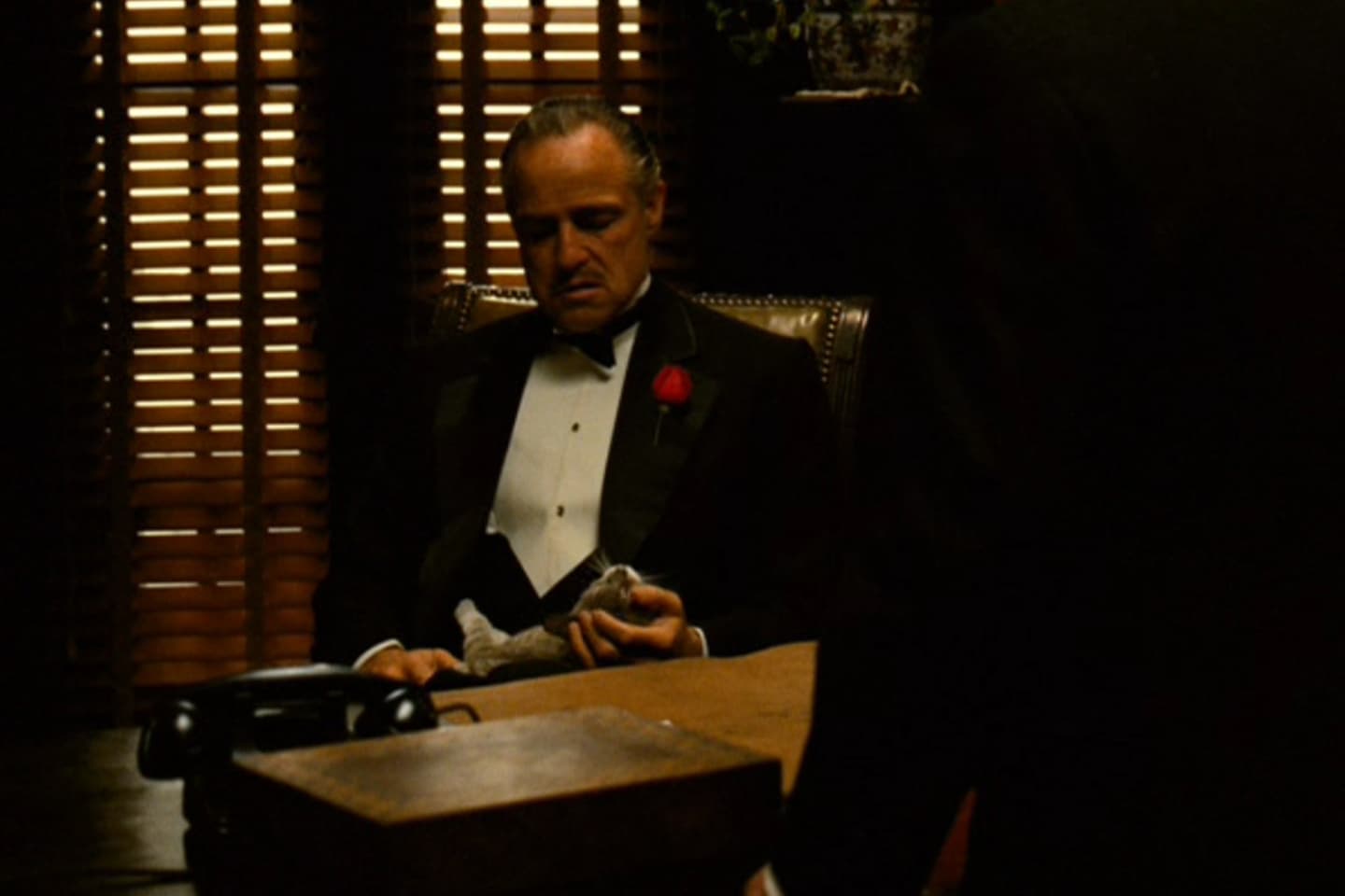 حقائق عن فيلم العرّاب - The Godfather - العرّاب والقط