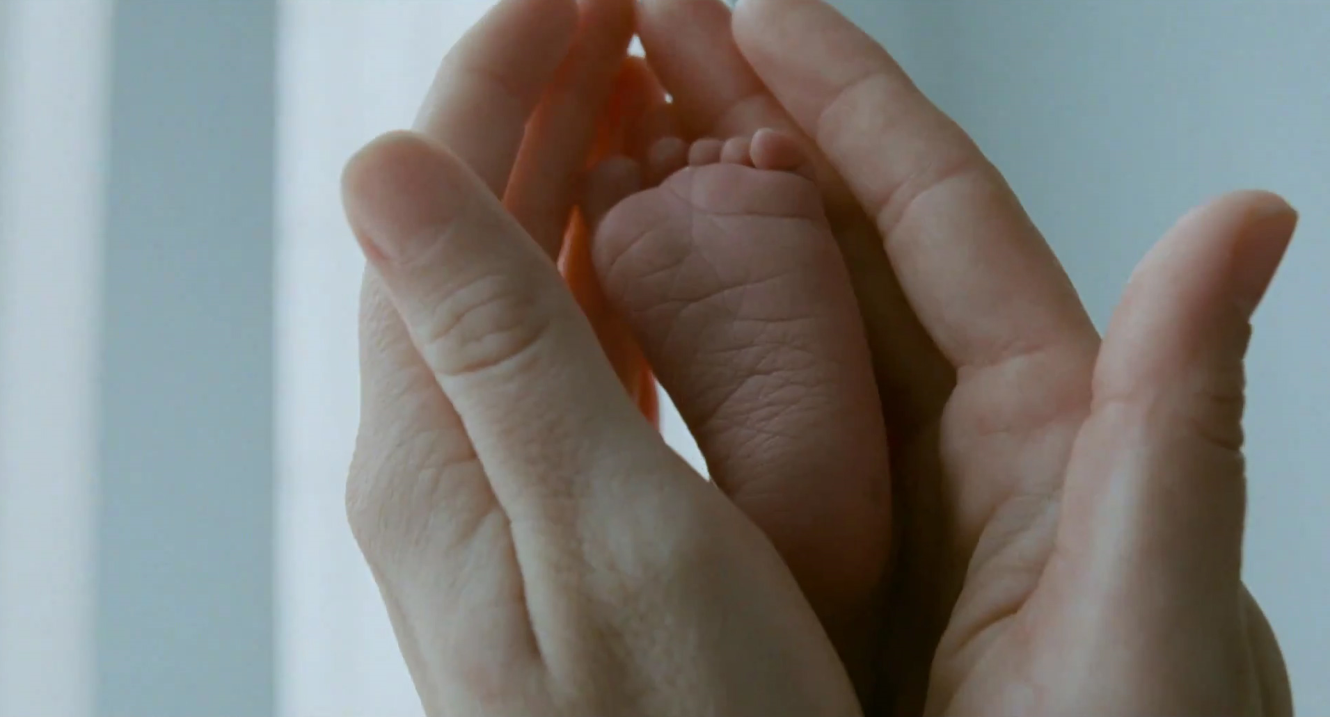 شرح فيلم tree of life