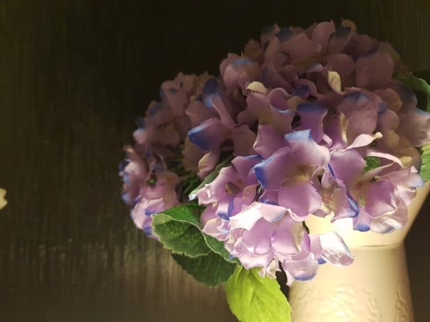  ميزات ومواصفات جالاكسي اس8 بلاس