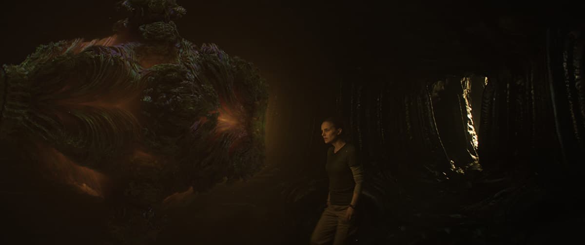 مشهد "الوميض" من فيلم Annihilation