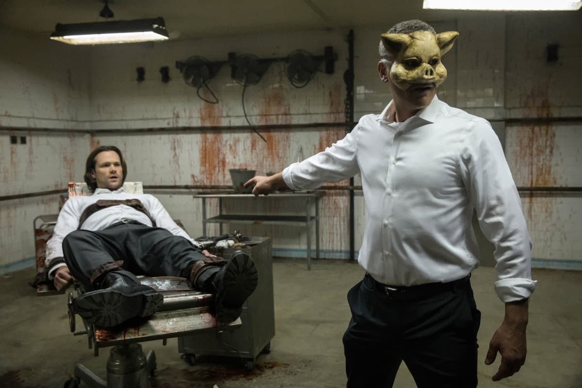 معلومات عن Supernatural 