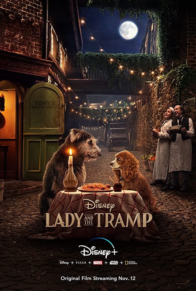 بوستر فيلم النبيلة والشارد