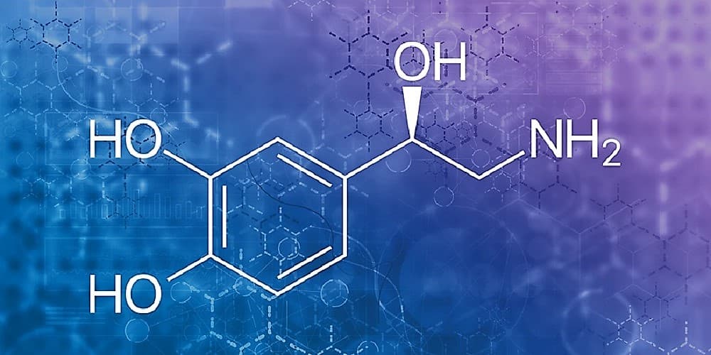 الأحلام - نورإبينفرين- Norepinephrine