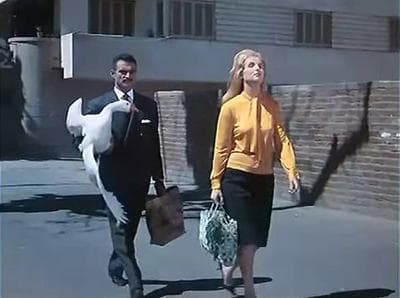 فيلم فيلم الأيدي الناعمة 