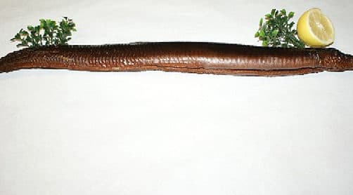 Geräuchter Aal