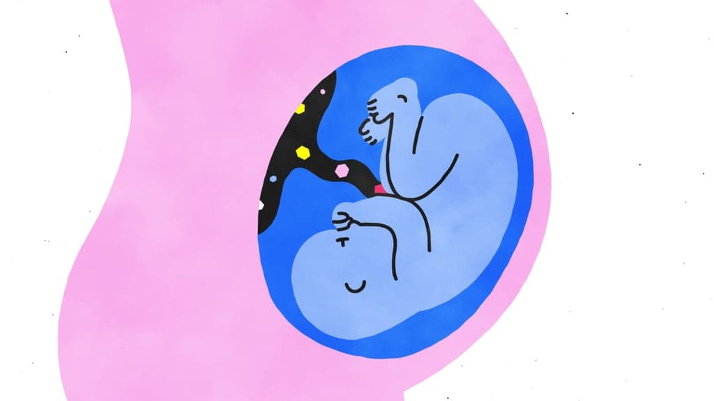 صورة عن الولادة من مسلسل sex explained