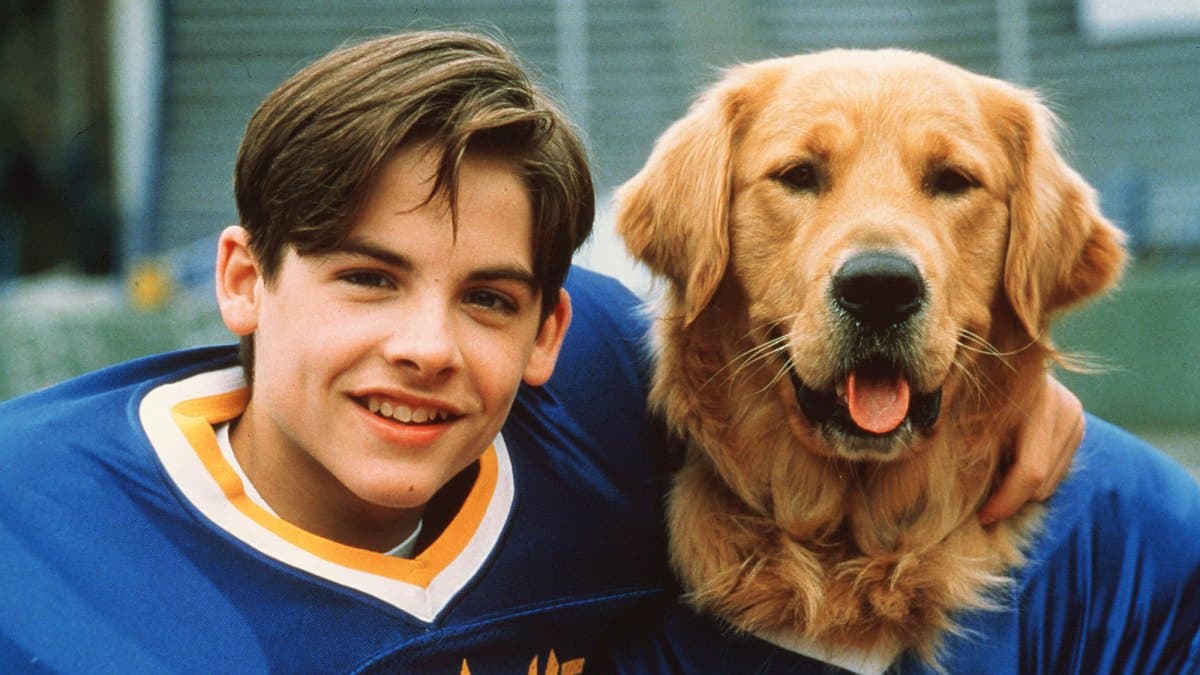 Air Bud Golden Receiver