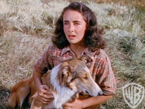 Courage of Lassie