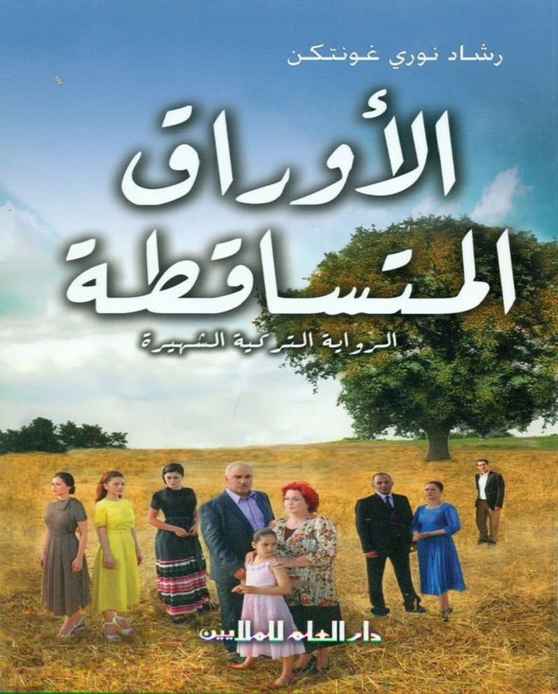 الأدب التركي